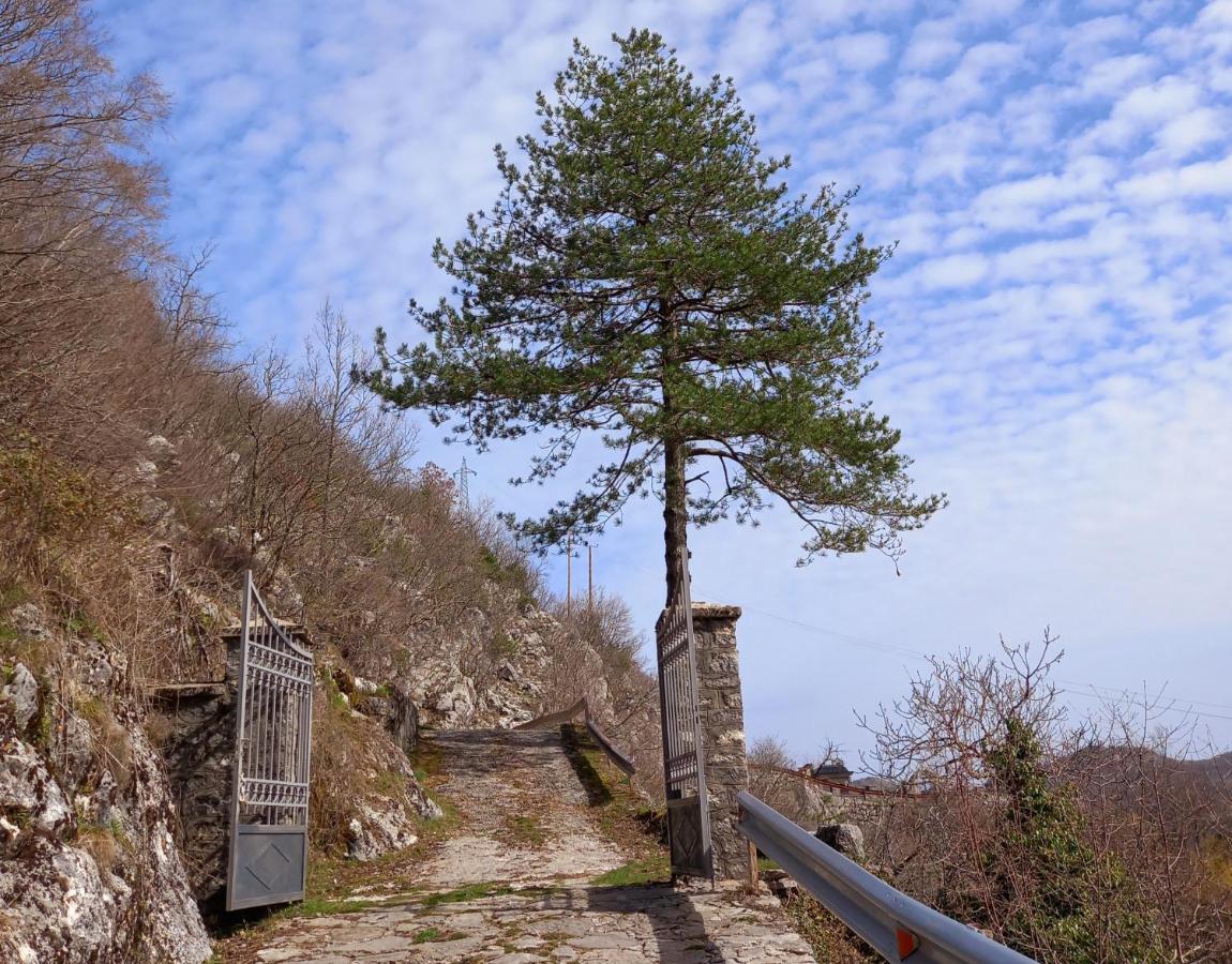 Konak Ugnji-Village Cetynia Zewnętrze zdjęcie