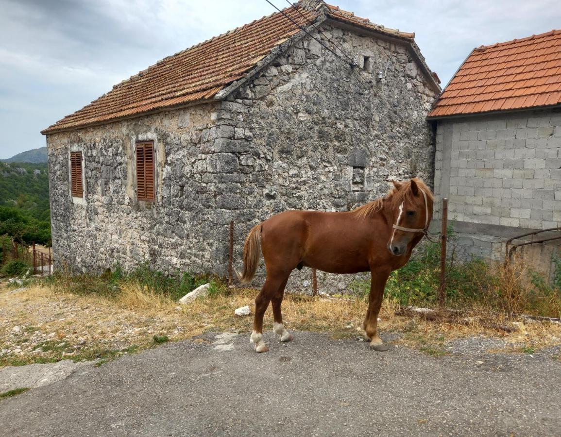 Konak Ugnji-Village Cetynia Zewnętrze zdjęcie
