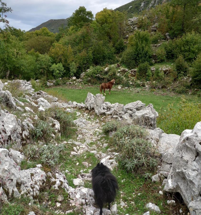 Konak Ugnji-Village Cetynia Zewnętrze zdjęcie