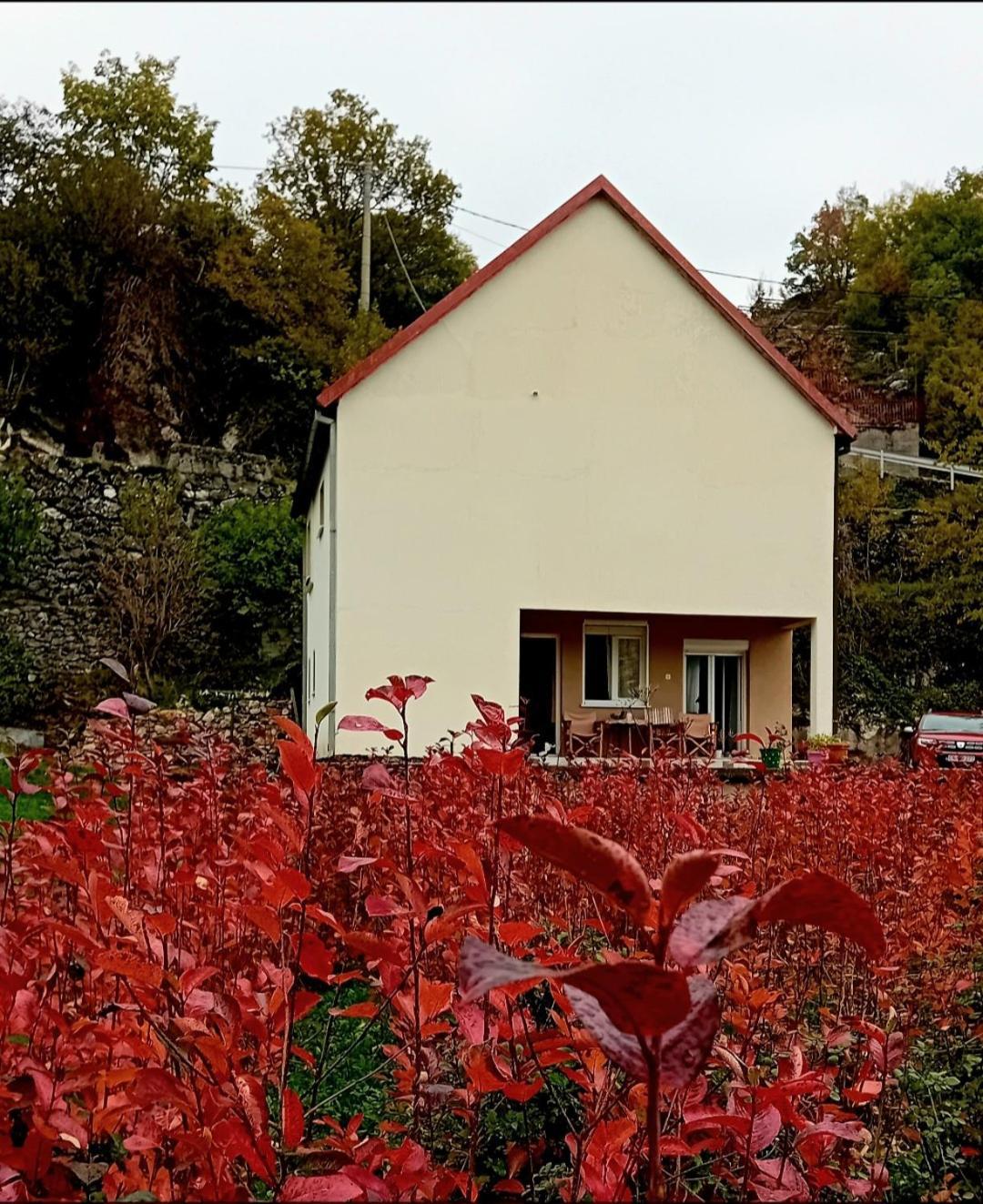 Konak Ugnji-Village Cetynia Zewnętrze zdjęcie